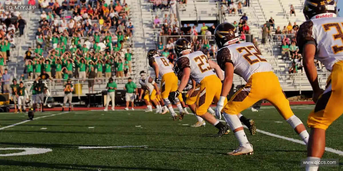 🎁 周边好物,解锁你的运动 DNA!